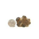 Truffle Chalcedony - Raw