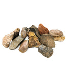 Dinosaur Bone - Rough