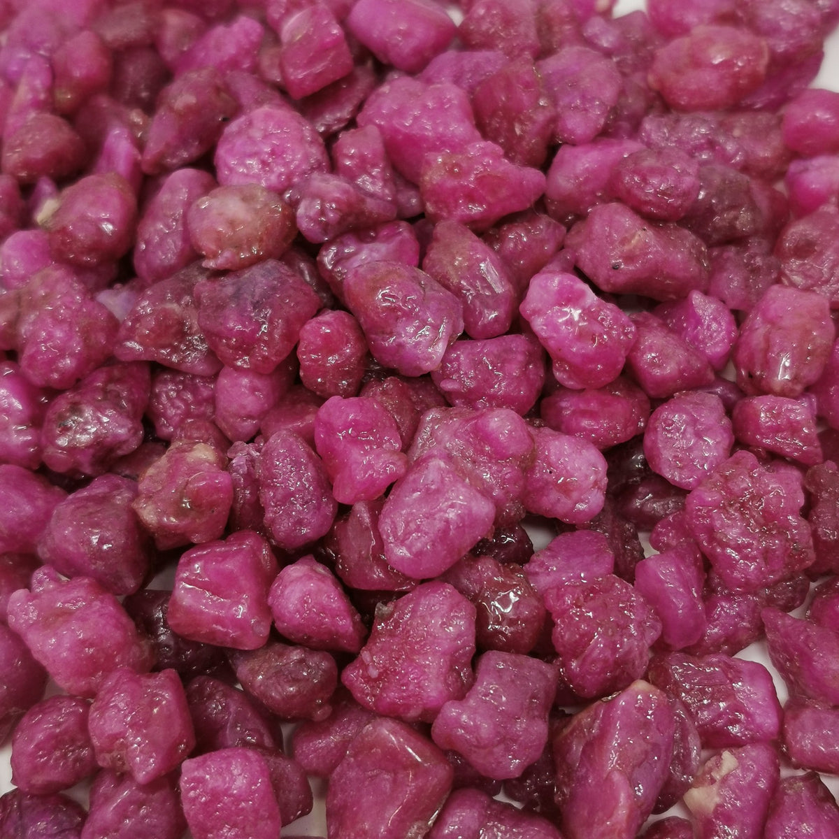 Vietnamese Ruby glass filled raw, a variety of corundum, from Vietnam.