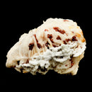 White Barite With Vanadinite - Raw