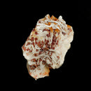 White Barite With Vanadinite - Raw