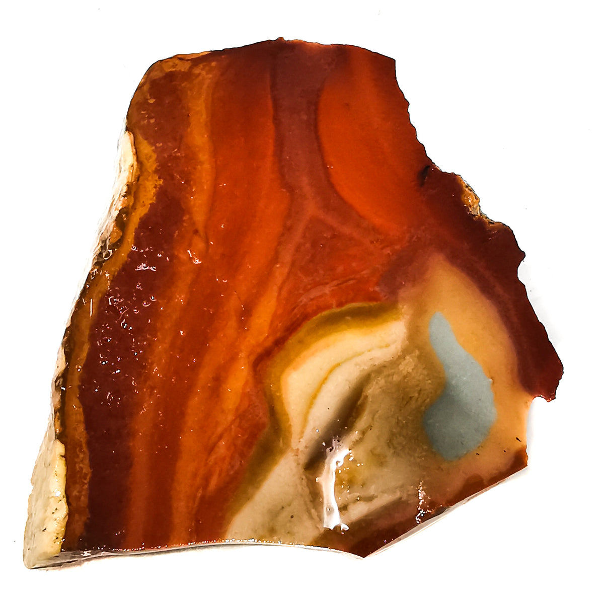 Wonderstone rough, Utah: polished face with swirls