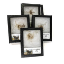 Woolly Mammoth Hair - Fossil