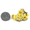 黄色钨铅矿 - 标本