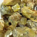 Yellow Opal - Rough