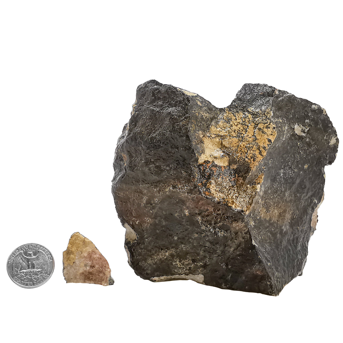 Rhodonite yellow rough from Cowichan Lake, BC – size range beside a coin for scale