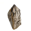 Zebra Stone - Power Point