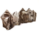 Zebra Stone - Power Point