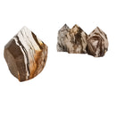 Zebra Stone - Power Point