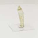 赫利奥多 - 标本